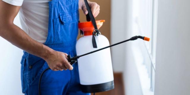 Top 5 Effective Pest Control Methods for Houston Residents
