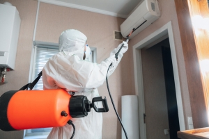 Pest Control Solutions: Safeguarding Your Home and Health